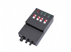 BDMX8050-系列防爆防腐控制箱（ⅡB、ⅡC、tD）